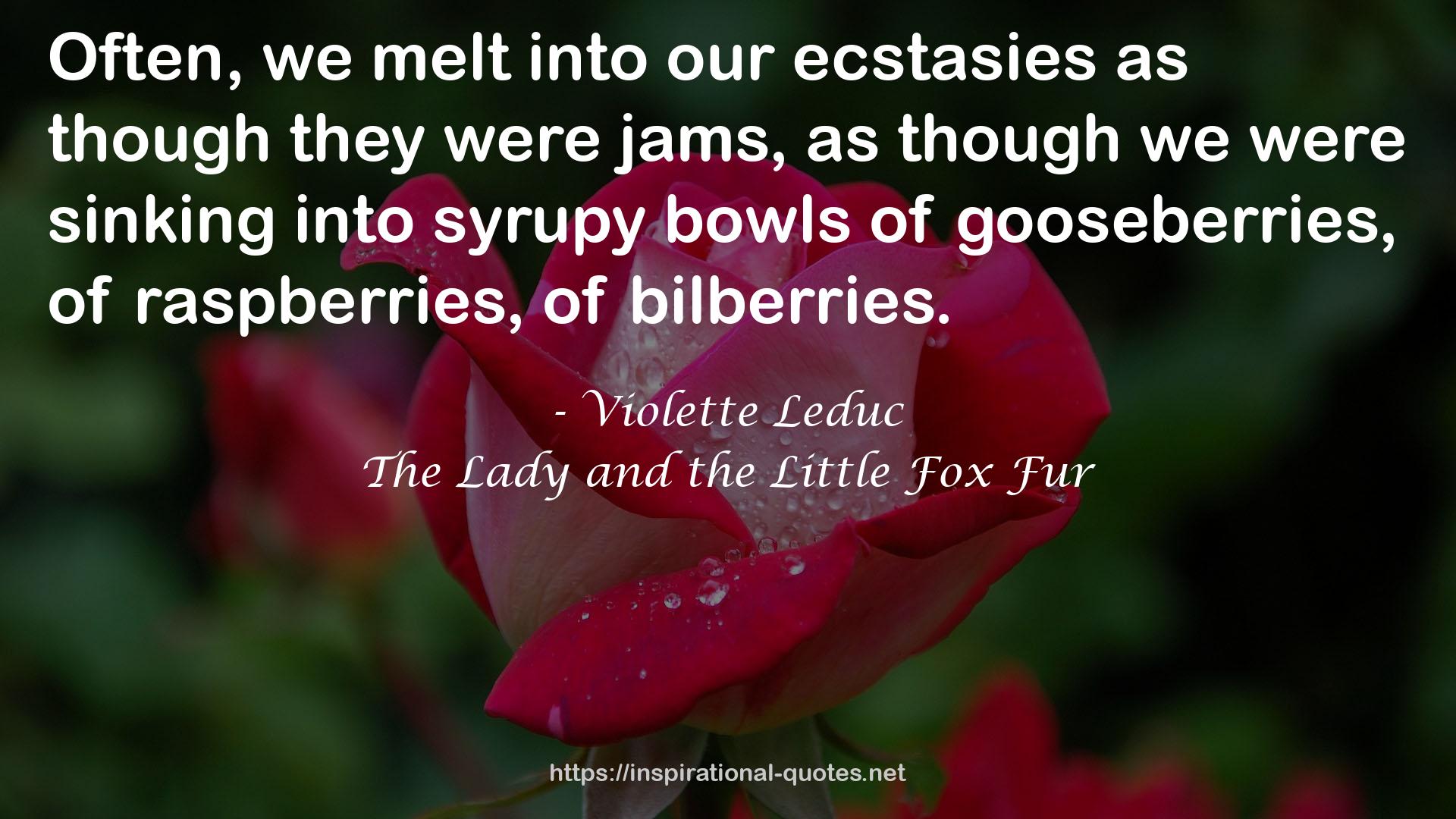 our ecstasies  QUOTES