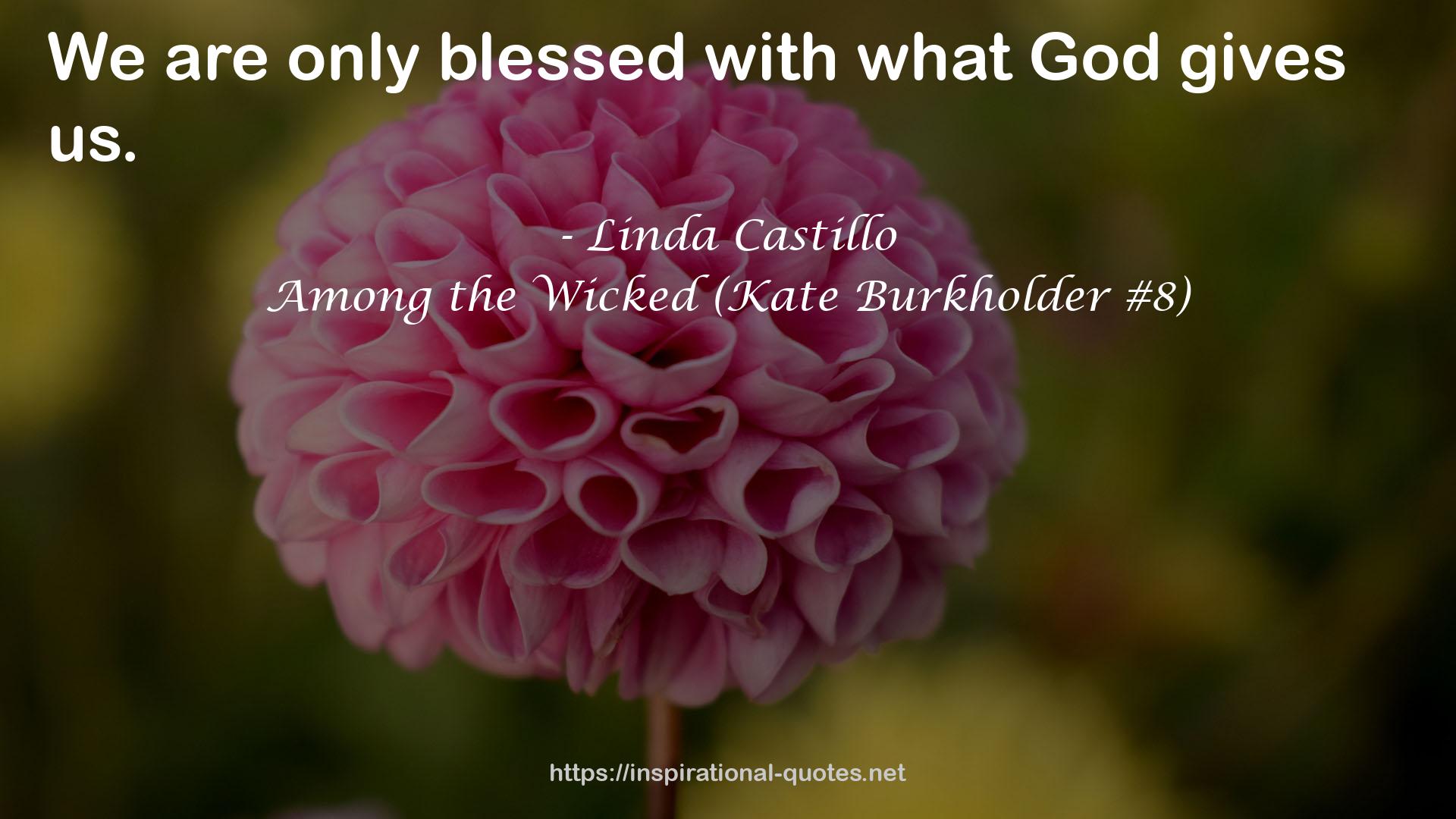 Among the Wicked (Kate Burkholder #8) QUOTES