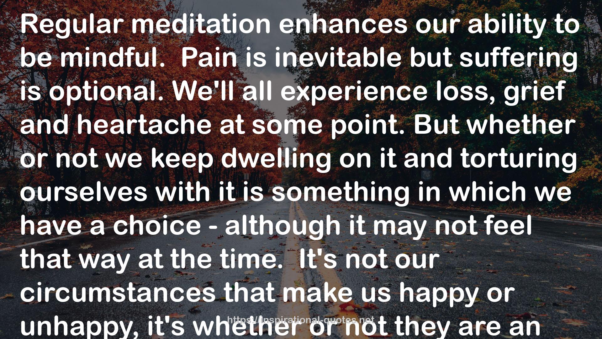 Mindfulness is better than chocolate : A practical Guide to Enhanced Focus and Lasting Happiness in a World of Distractions QUOTES