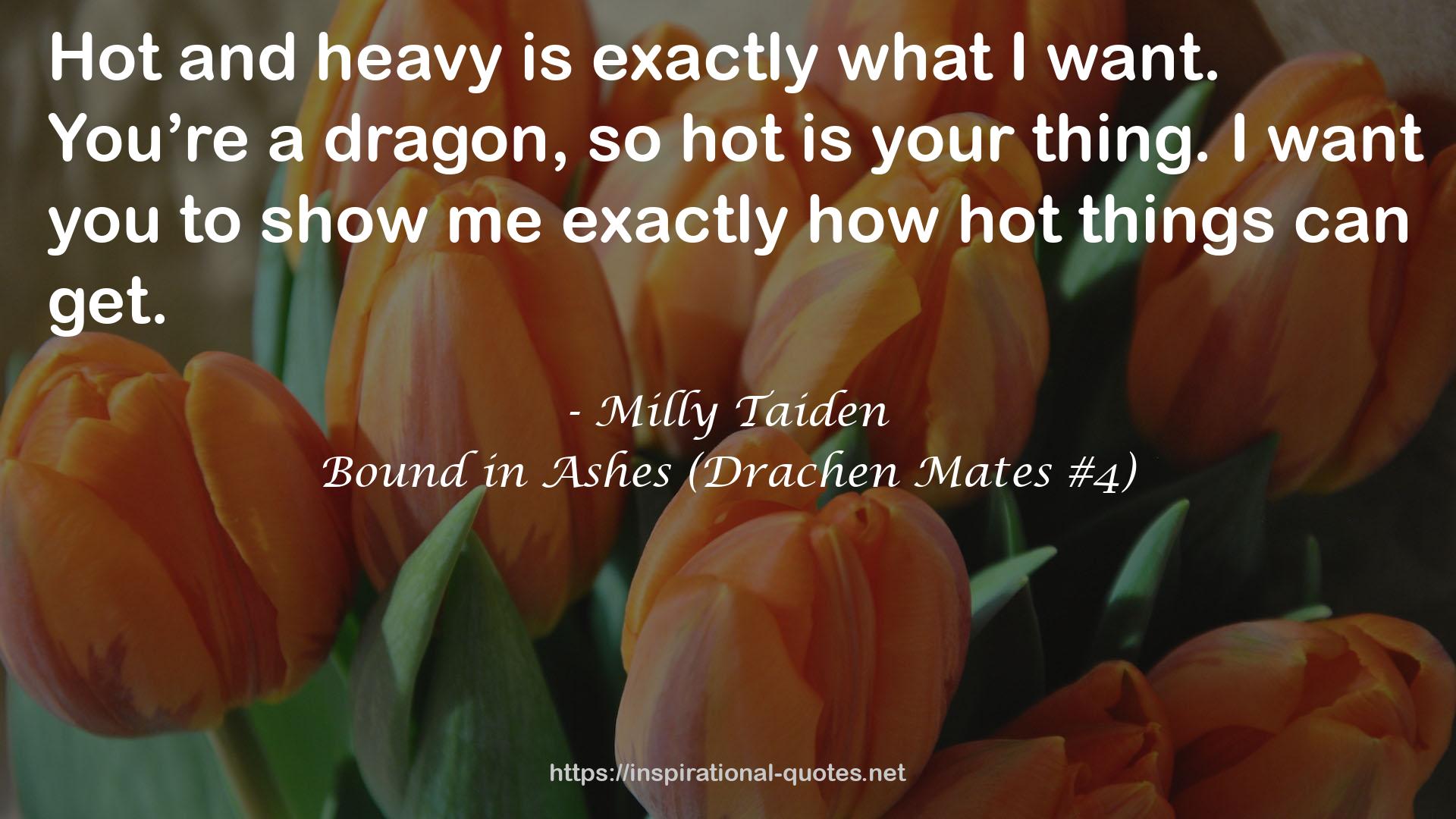 Bound in Ashes (Drachen Mates #4) QUOTES