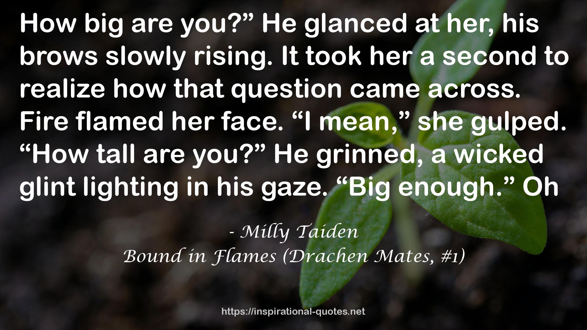 Bound in Flames (Drachen Mates, #1) QUOTES