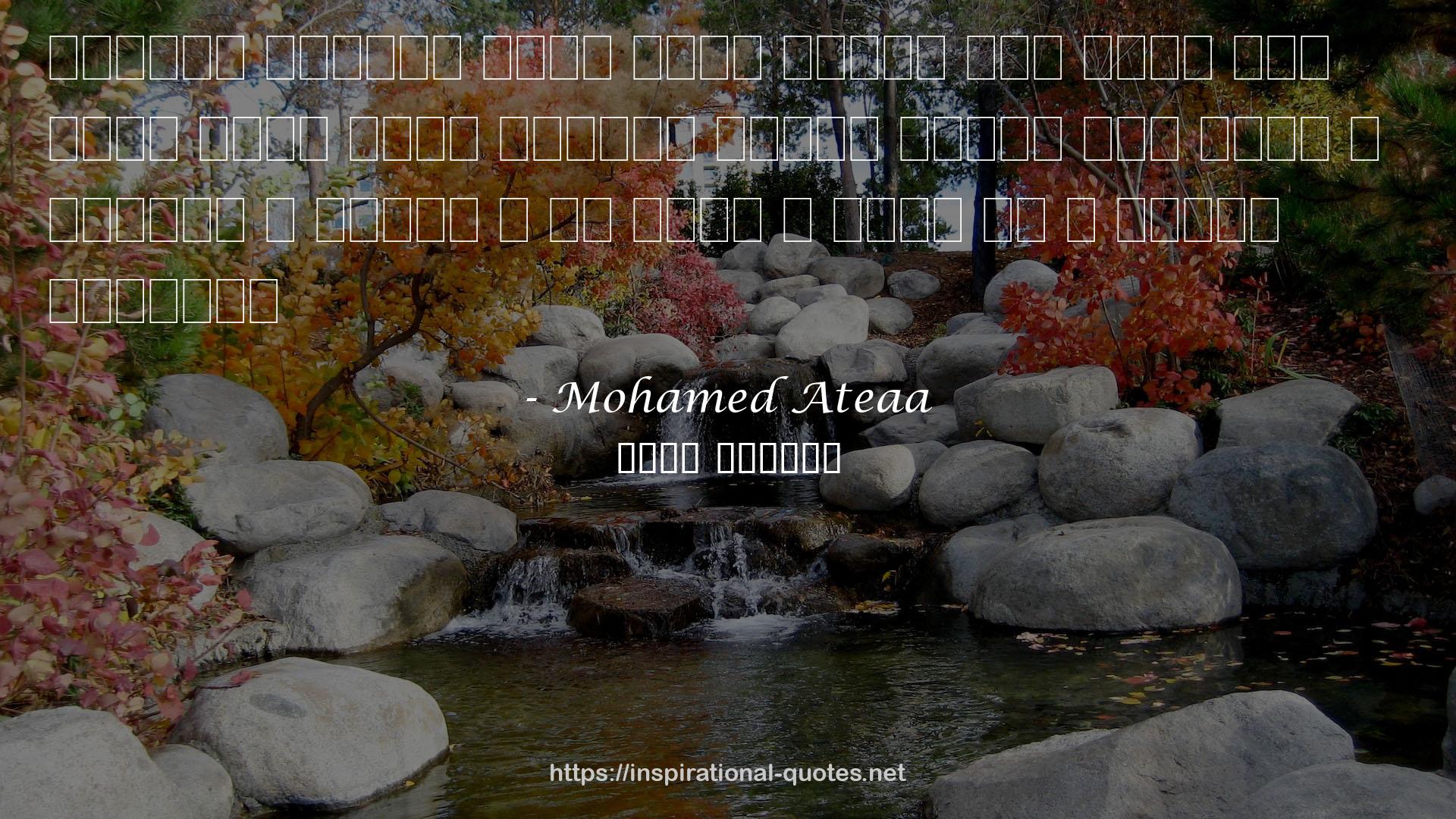 Mohamed Ateaa QUOTES