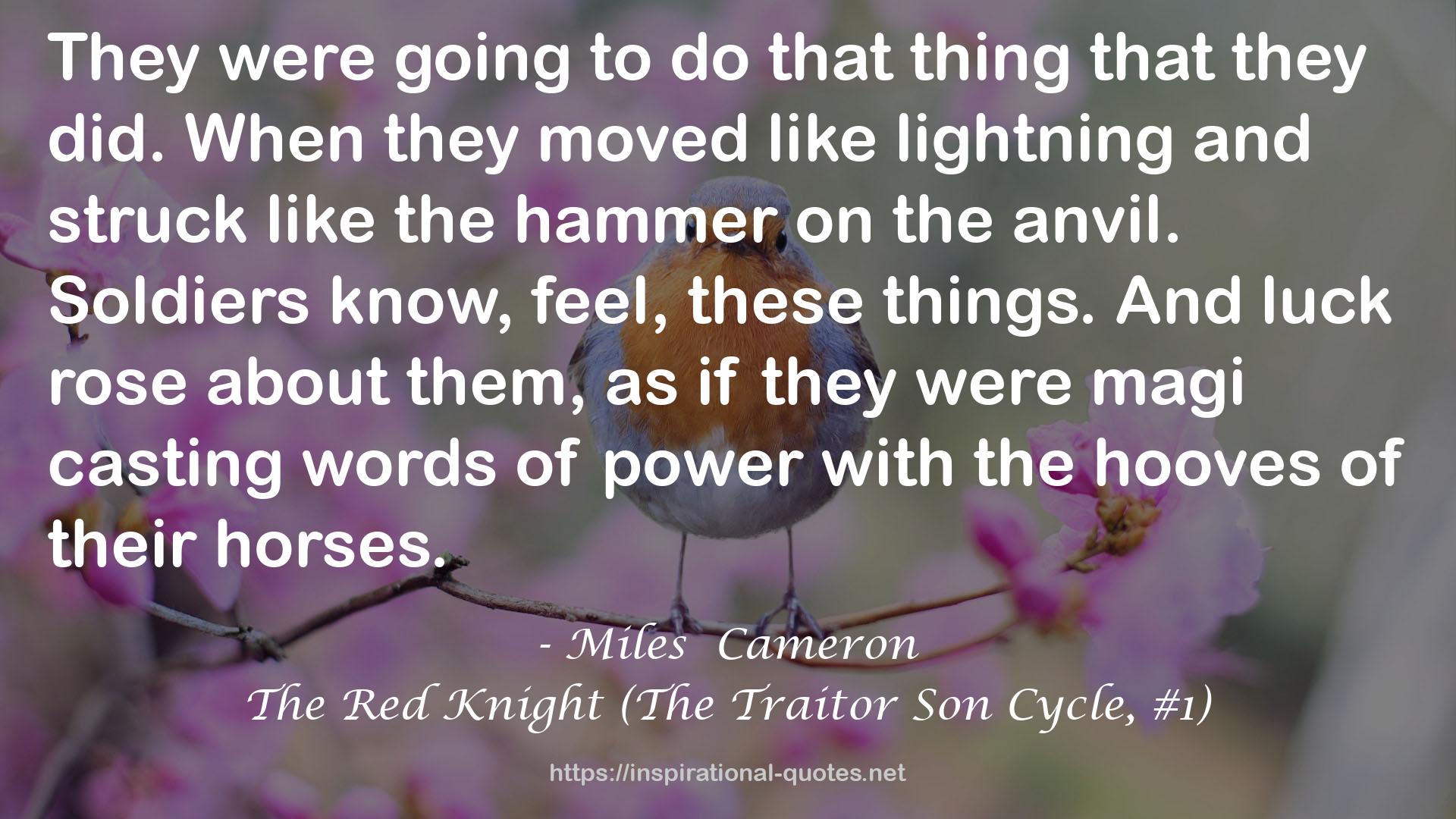 The Red Knight (The Traitor Son Cycle, #1) QUOTES