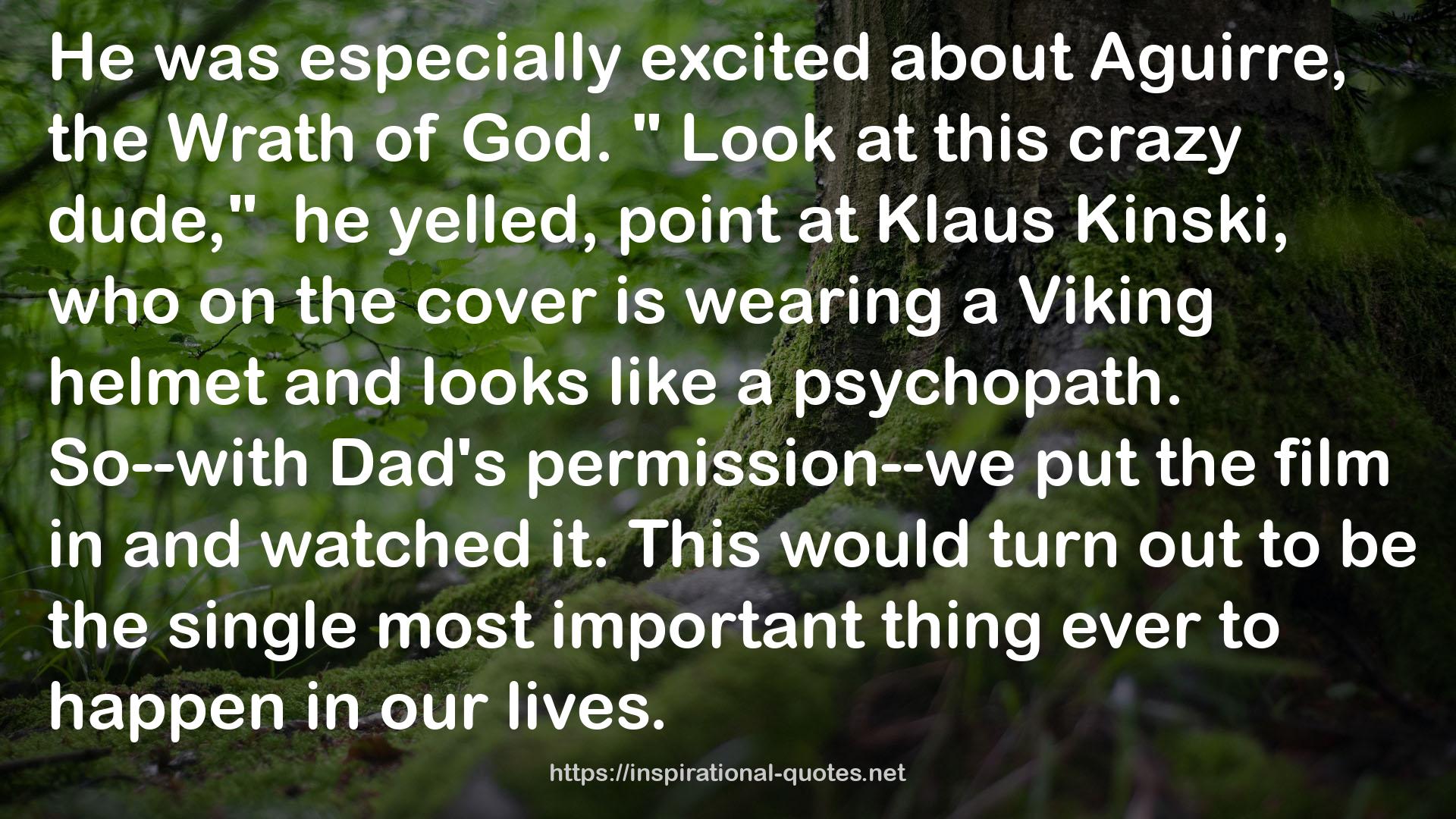 a Viking helmet  QUOTES