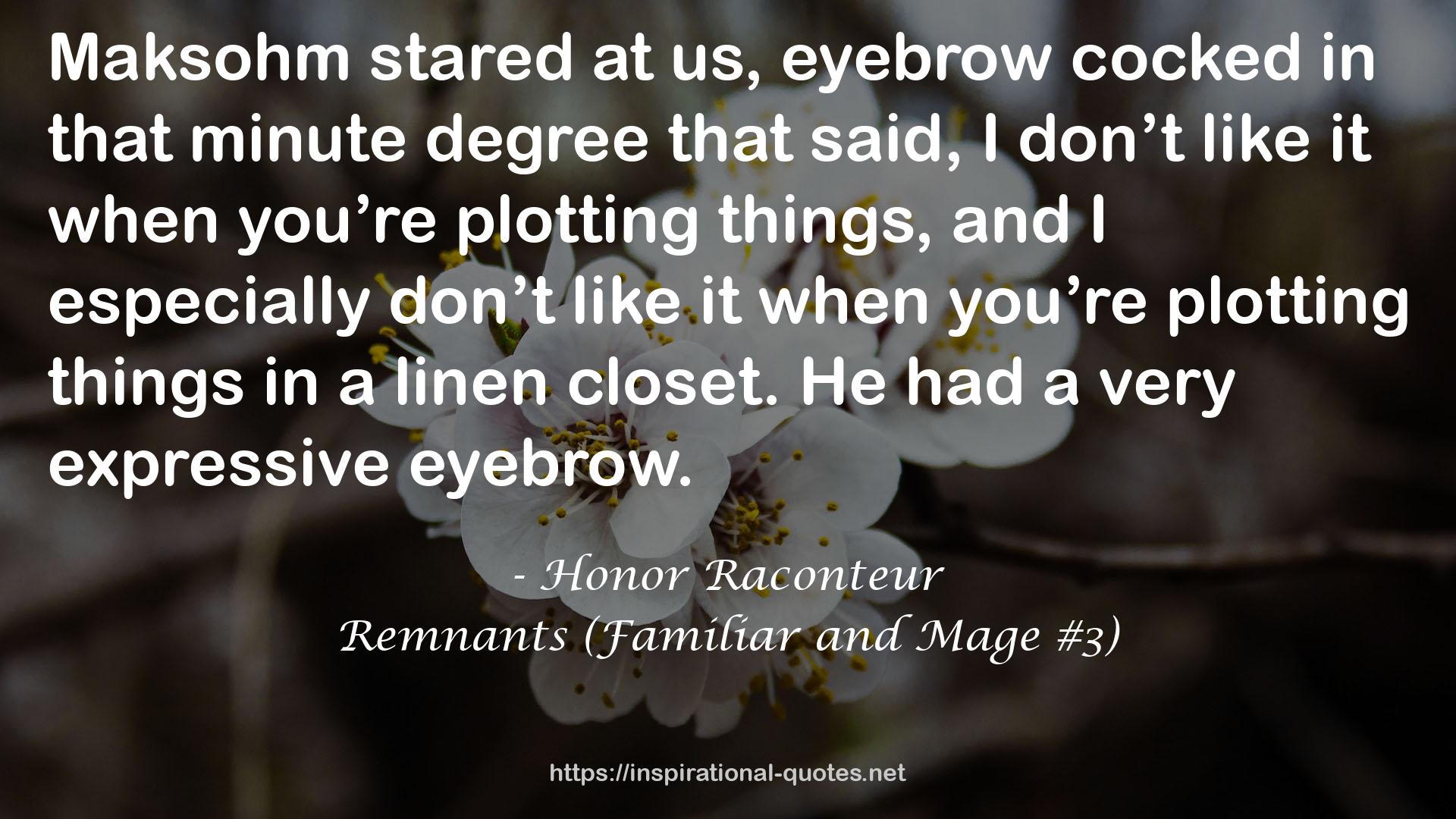 Remnants (Familiar and Mage #3) QUOTES