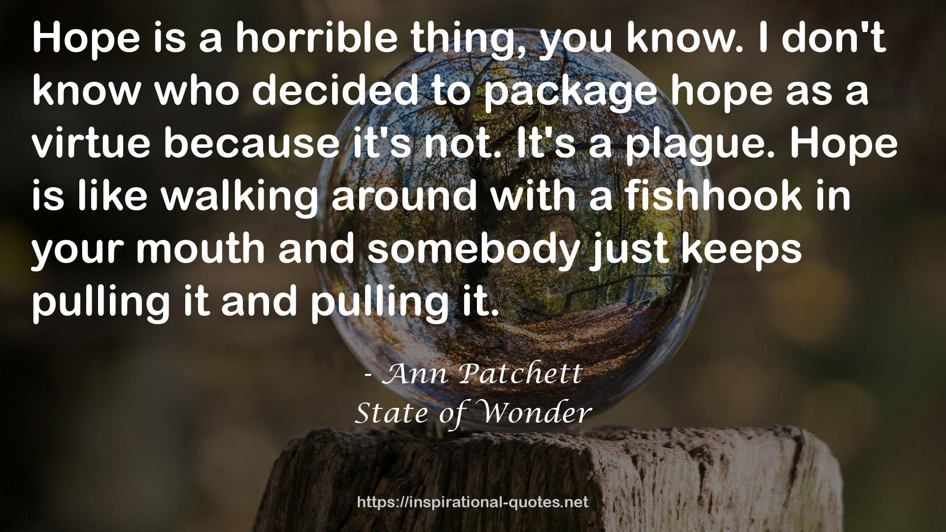 State of Wonder QUOTES