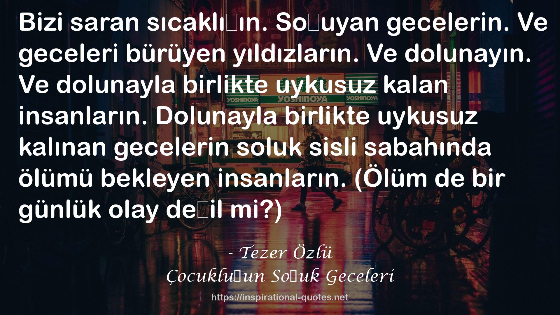 Tezer Özlü QUOTES