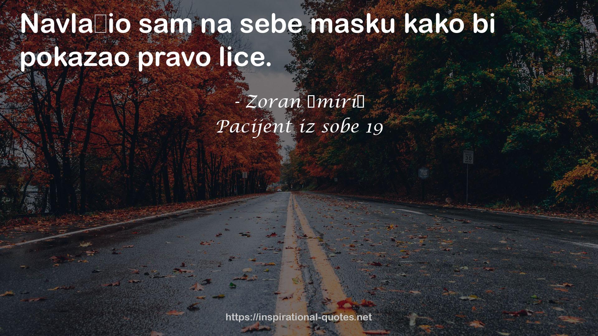 Pacijent iz sobe 19 QUOTES