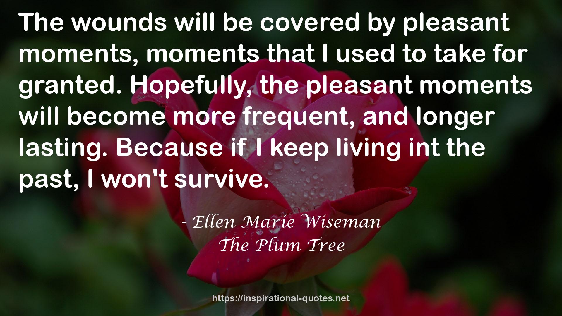 Ellen Marie Wiseman QUOTES