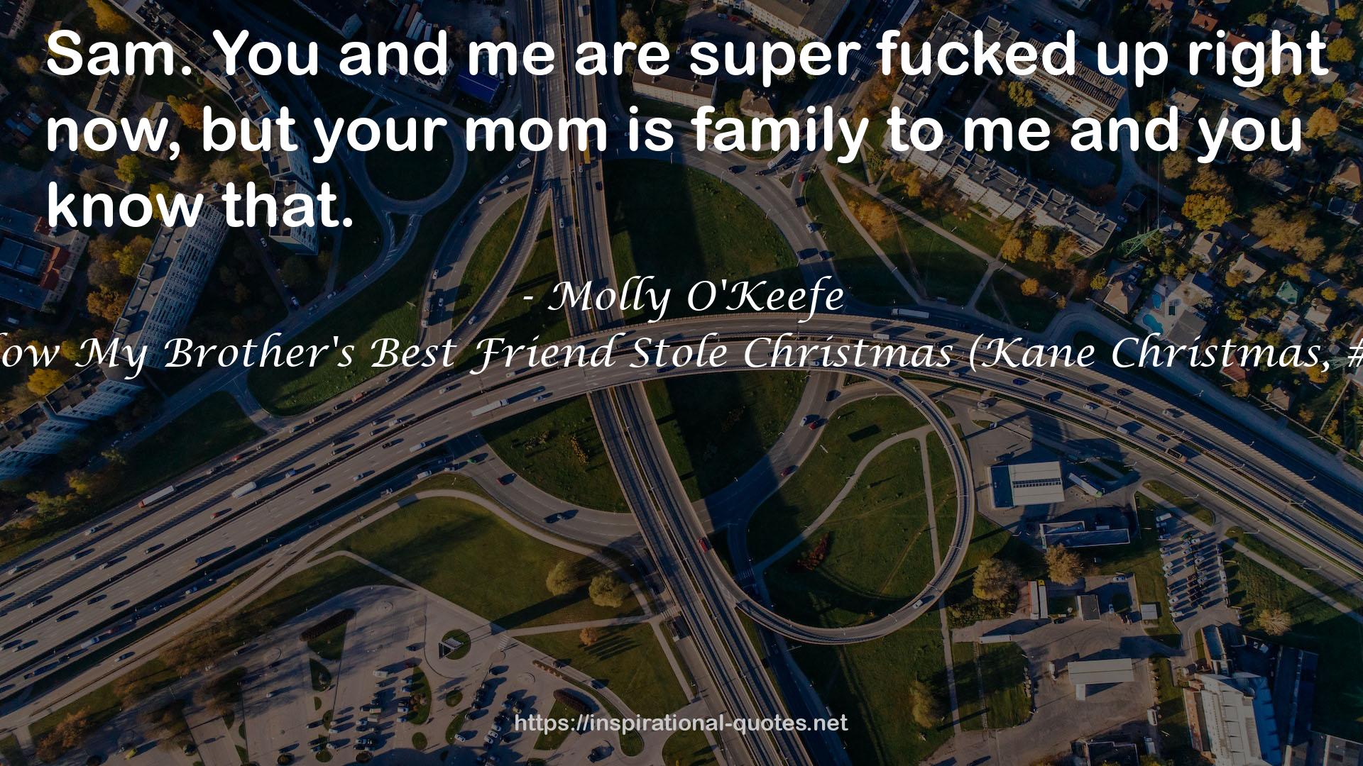 How My Brother's Best Friend Stole Christmas (Kane Christmas, #3) QUOTES