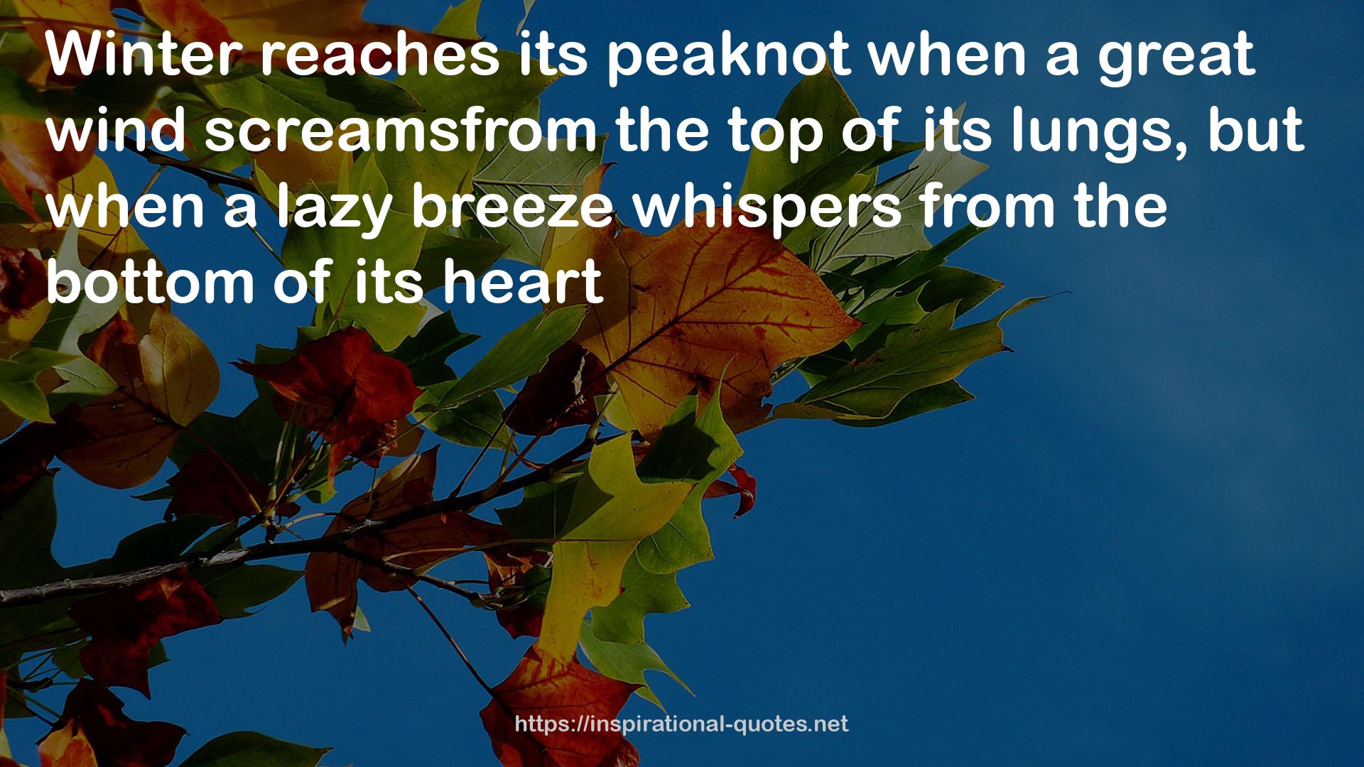 peaknot  QUOTES