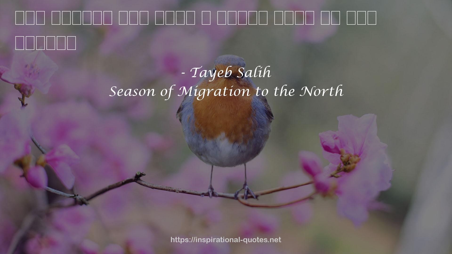 Season of Migration to the North QUOTES