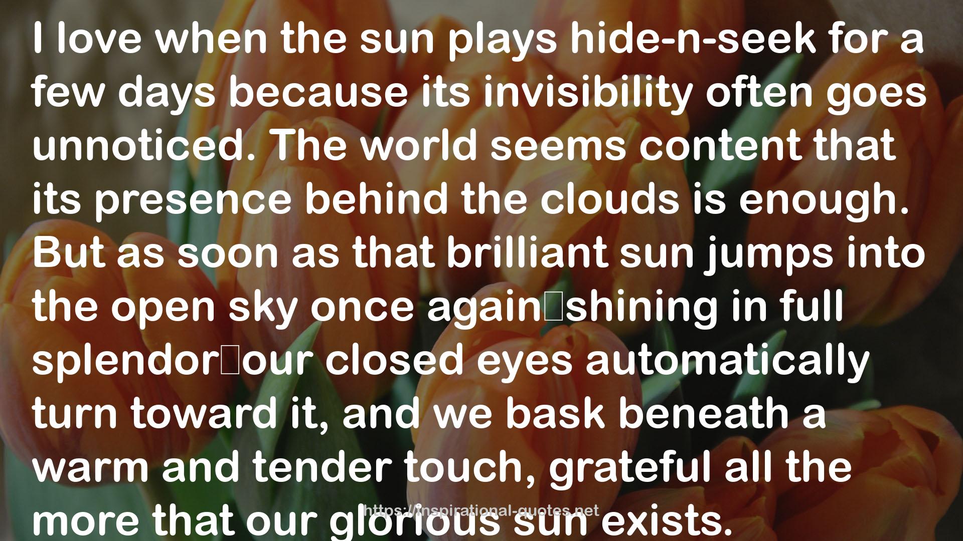 that brilliant sun  QUOTES