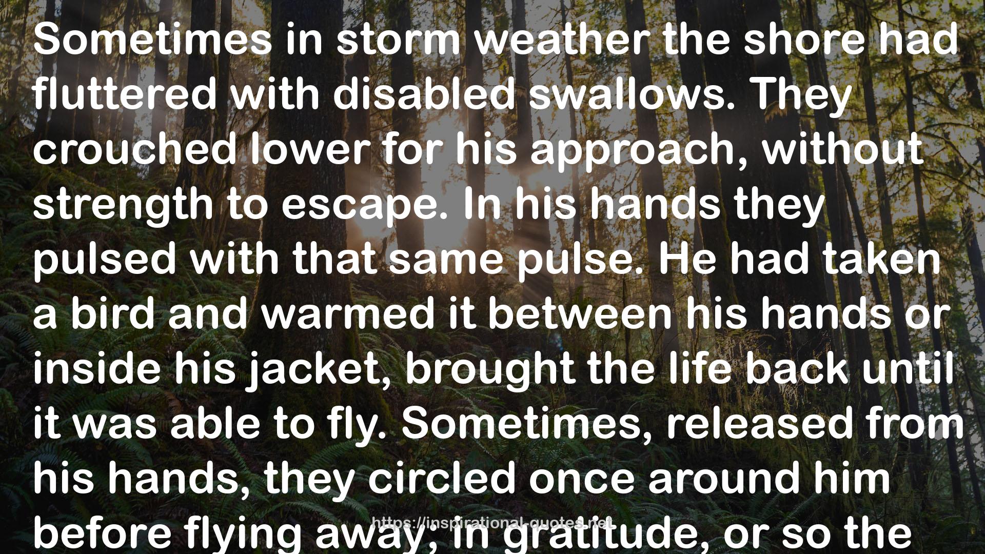 storm weather  QUOTES