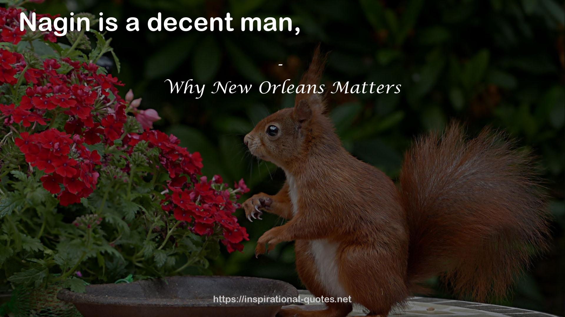 Why New Orleans Matters QUOTES