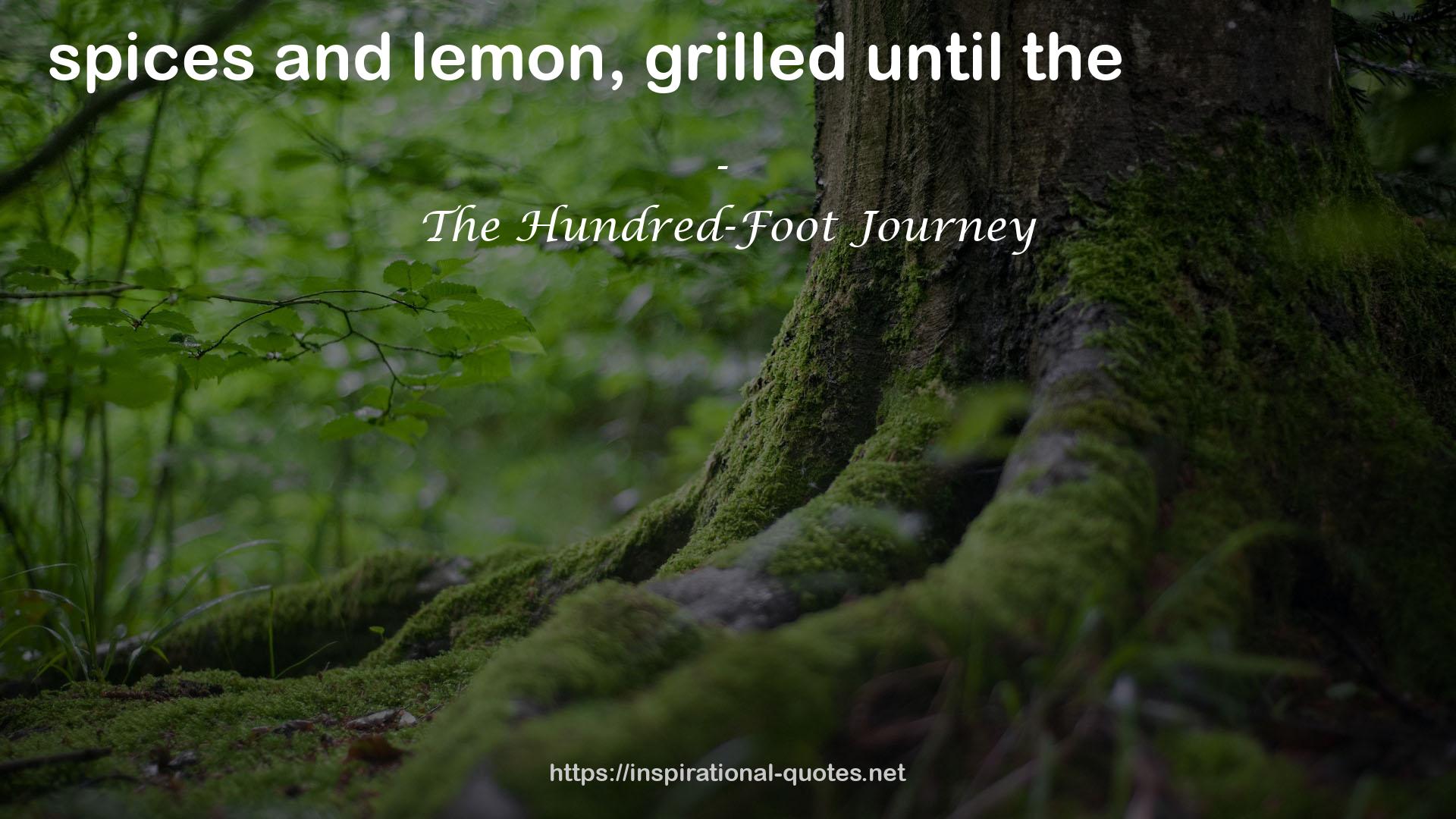 The Hundred-Foot Journey QUOTES