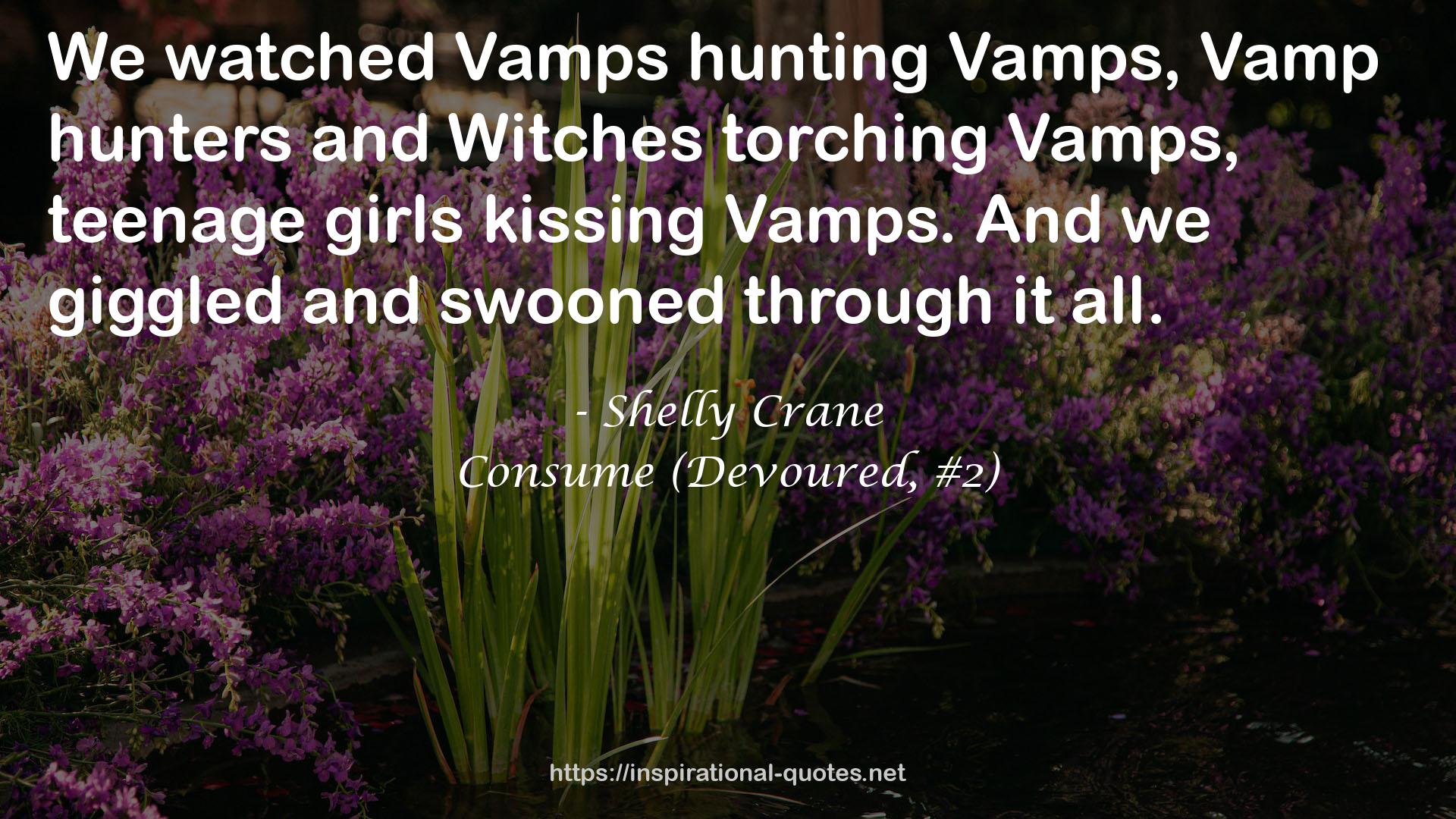 Vamp hunters  QUOTES