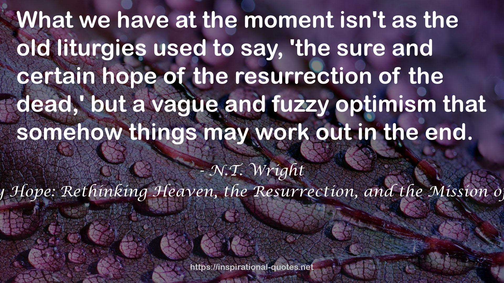a vague and fuzzy optimism  QUOTES