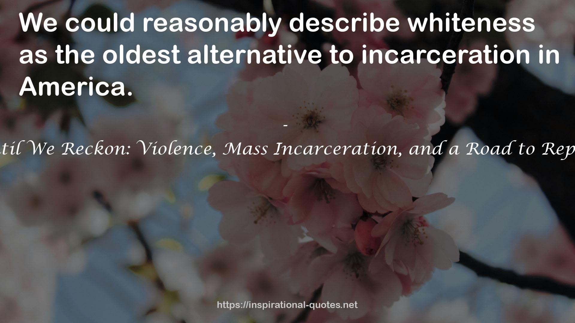 Until We Reckon: Violence, Mass Incarceration, and a Road to Repair QUOTES