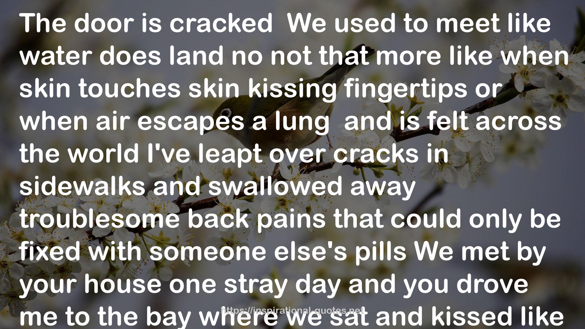 a lung  QUOTES