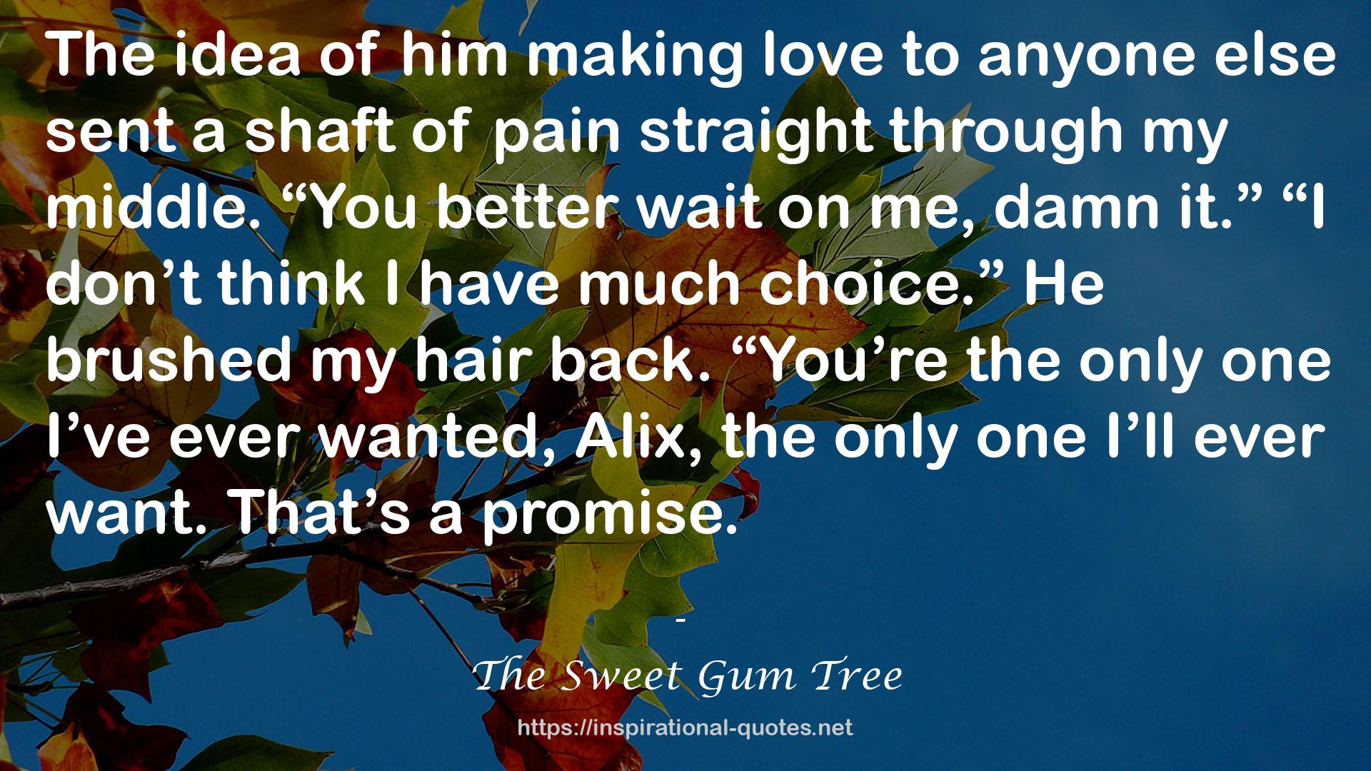 The Sweet Gum Tree QUOTES