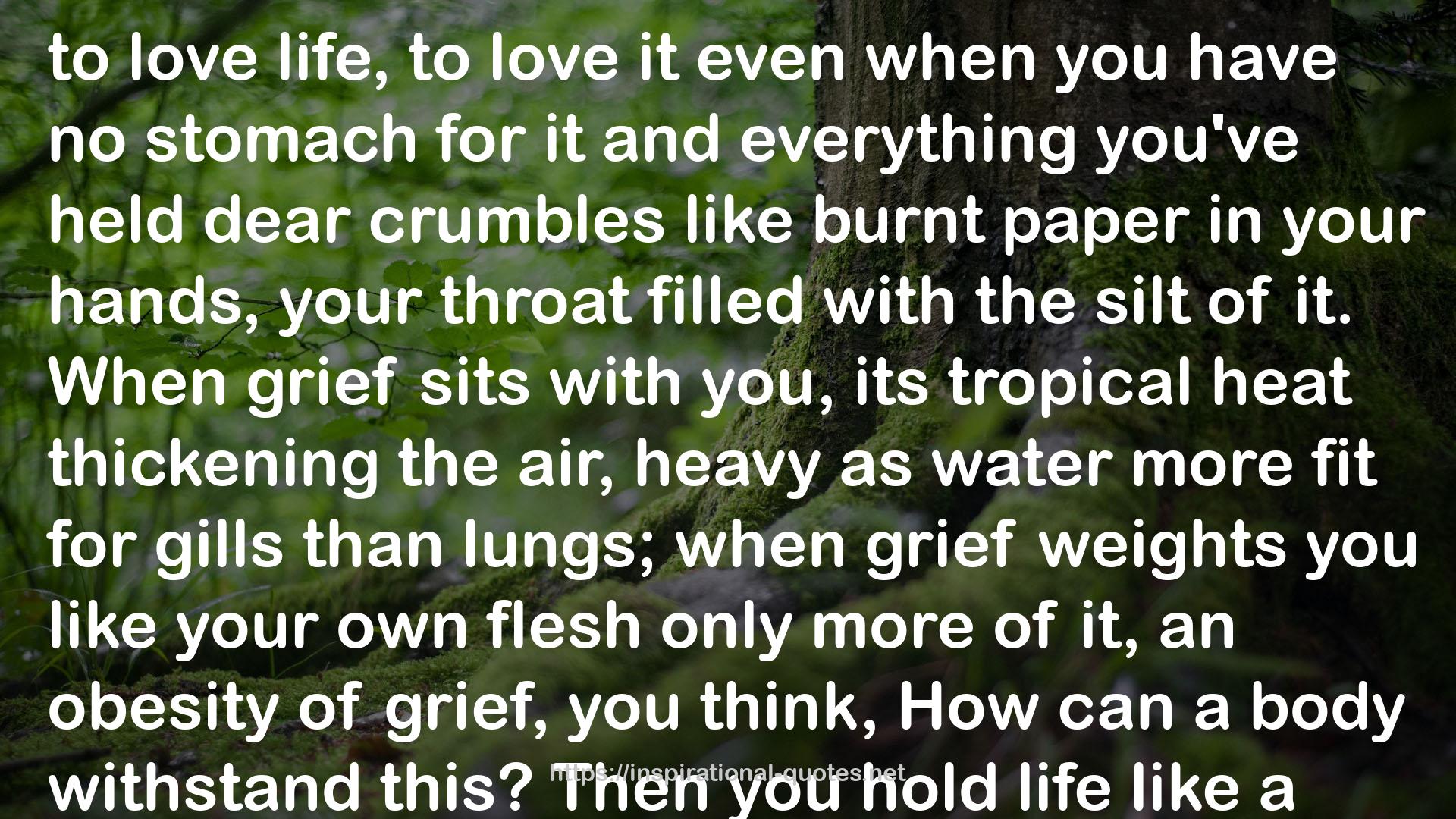 grief  QUOTES