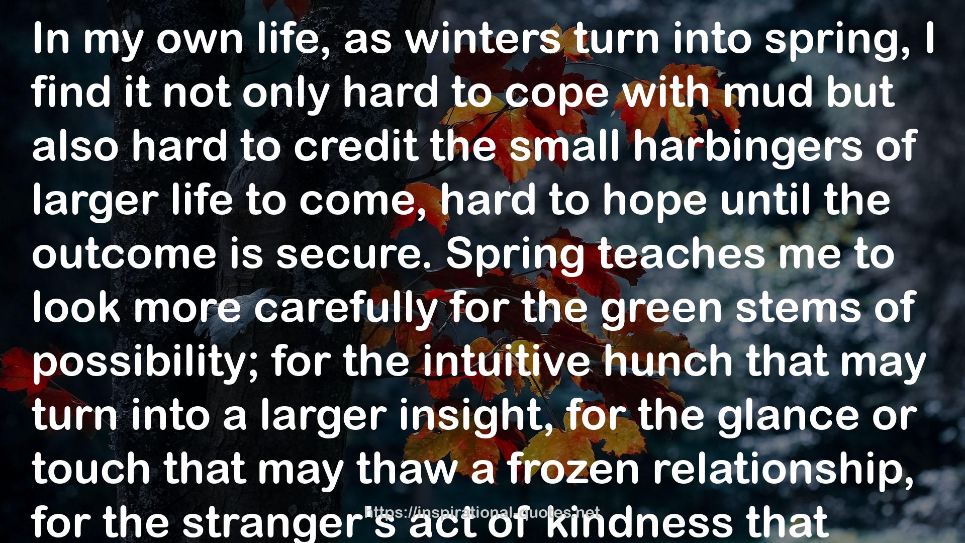 winters  QUOTES