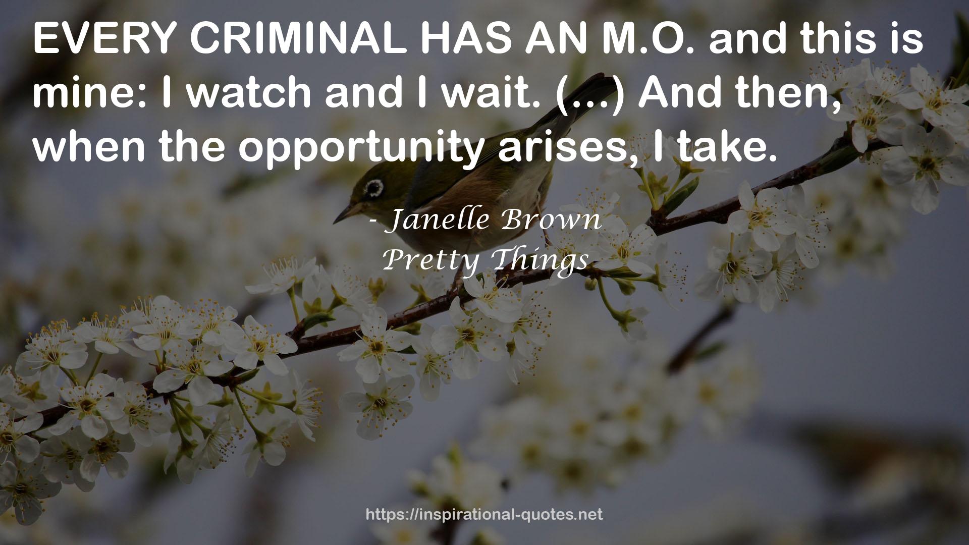 Janelle Brown QUOTES