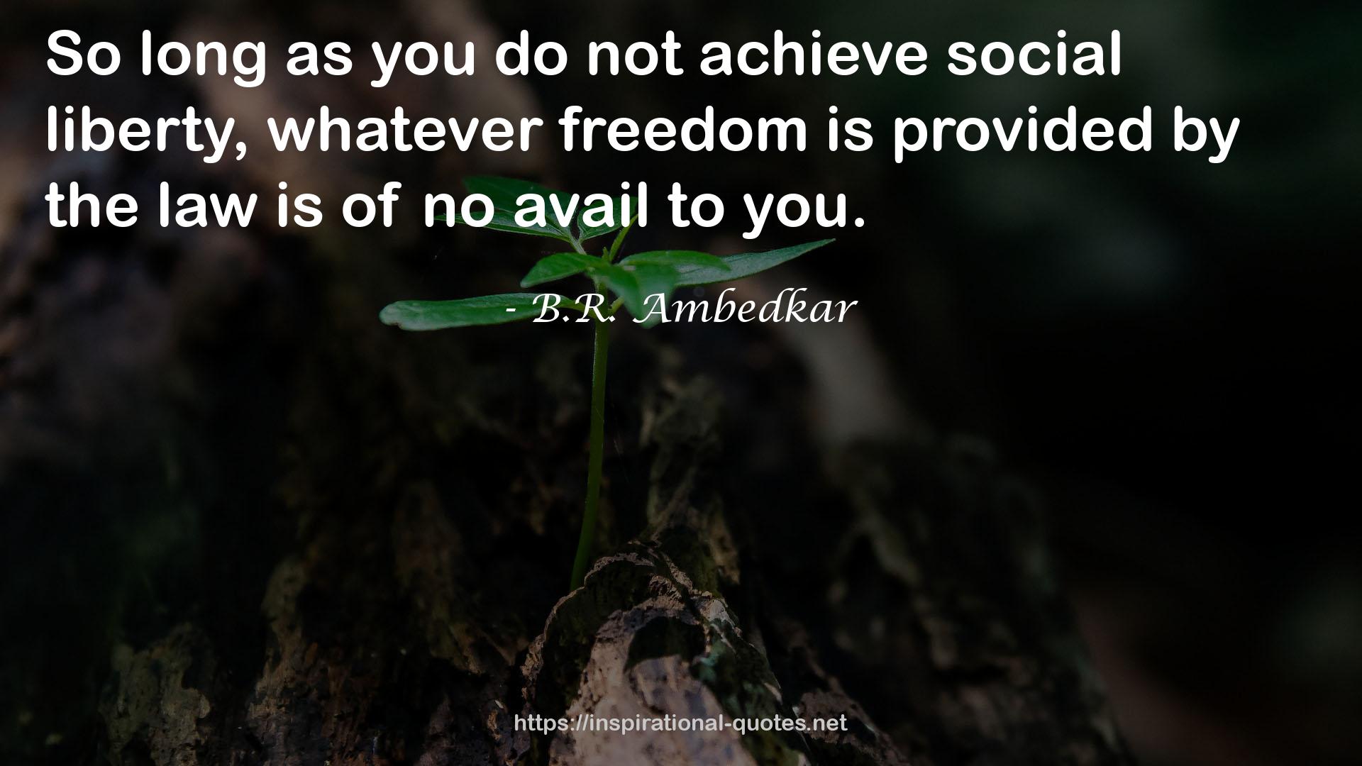 B.R. Ambedkar QUOTES