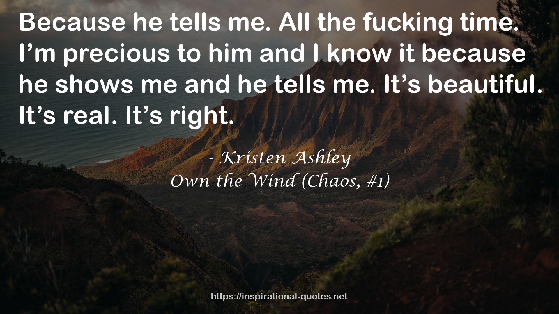 Own the Wind (Chaos, #1) QUOTES
