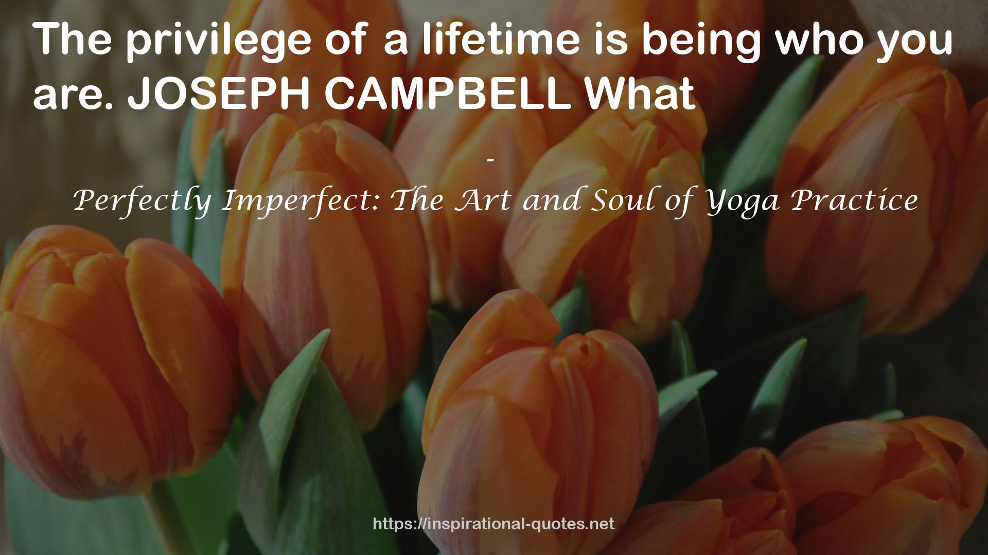 Perfectly Imperfect: The Art and Soul of Yoga Practice QUOTES