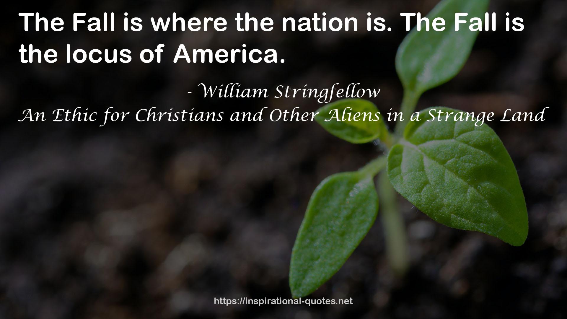 An Ethic for Christians and Other Aliens in a Strange Land QUOTES