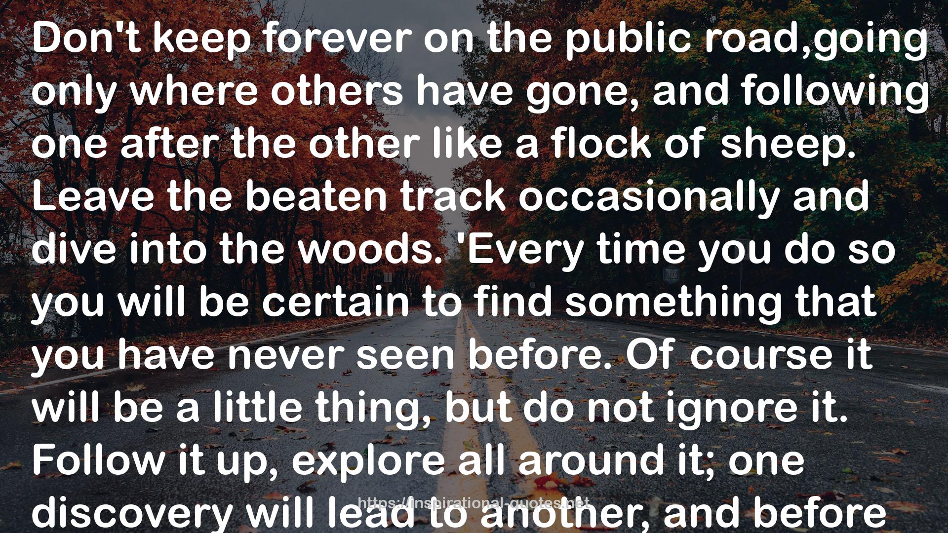 the beaten track  QUOTES