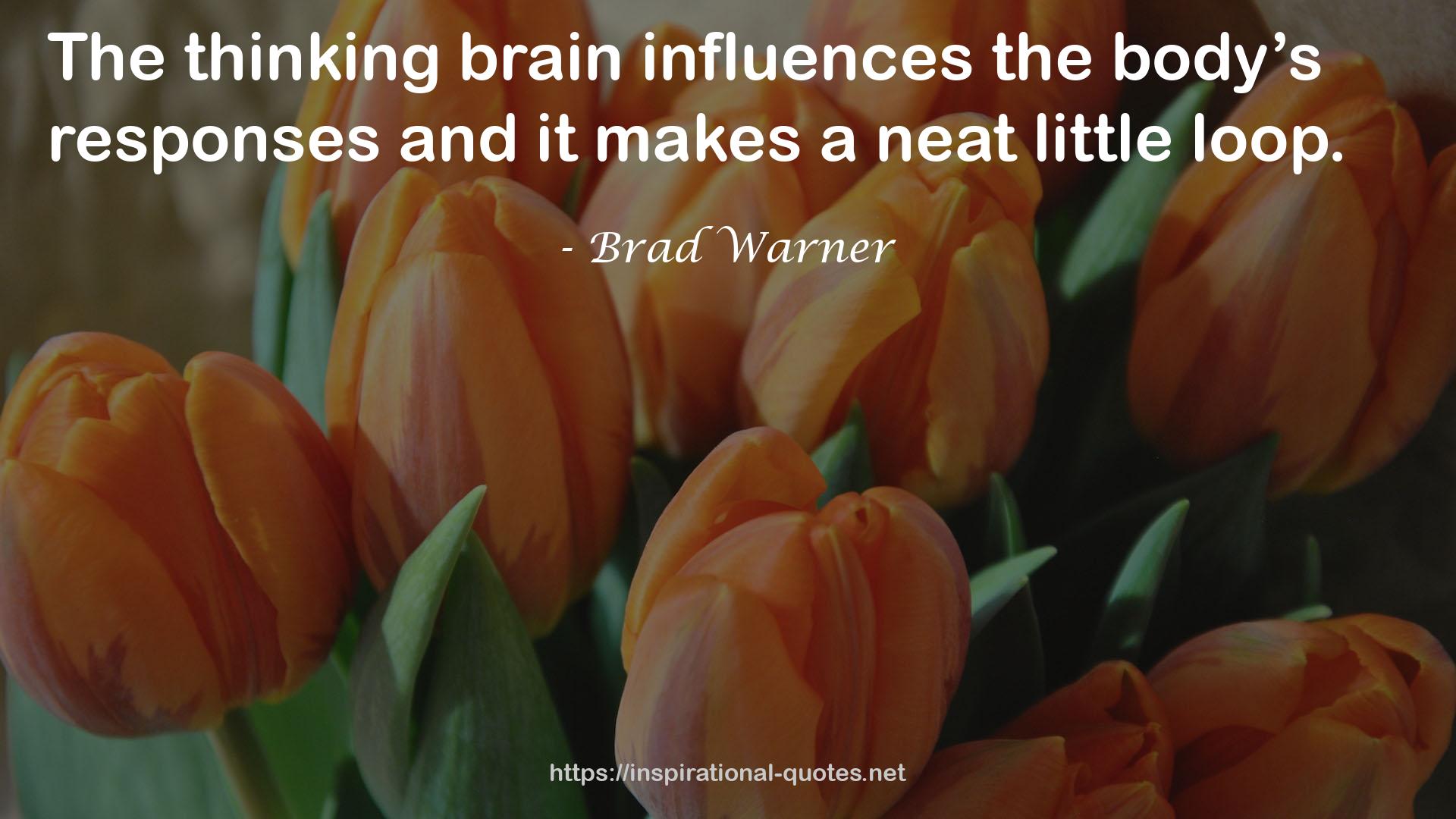 Brad Warner QUOTES