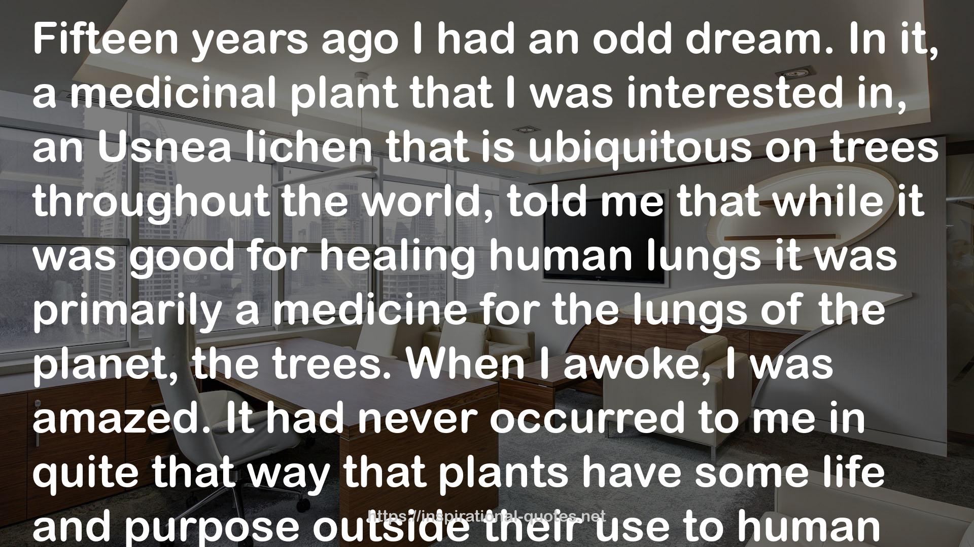 a medicinal plant  QUOTES