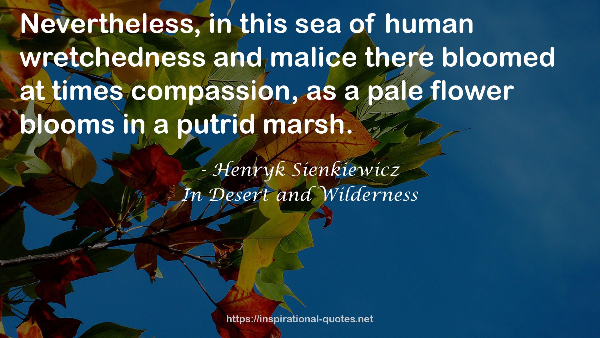 human wretchedness  QUOTES
