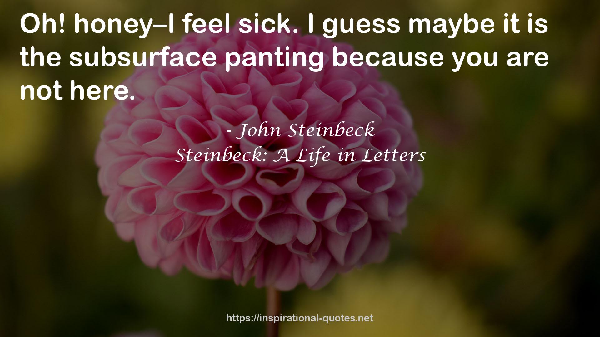 Steinbeck: A Life in Letters QUOTES