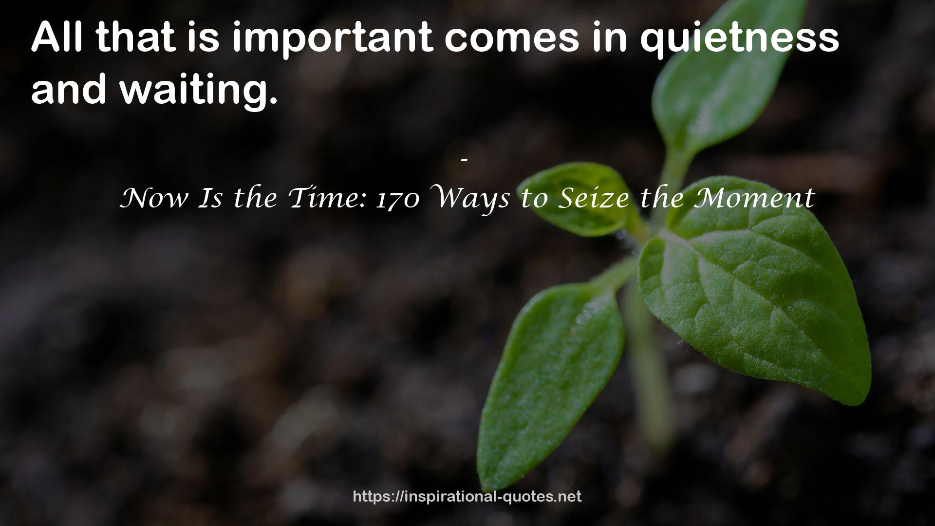 Now Is the Time: 170 Ways to Seize the Moment QUOTES