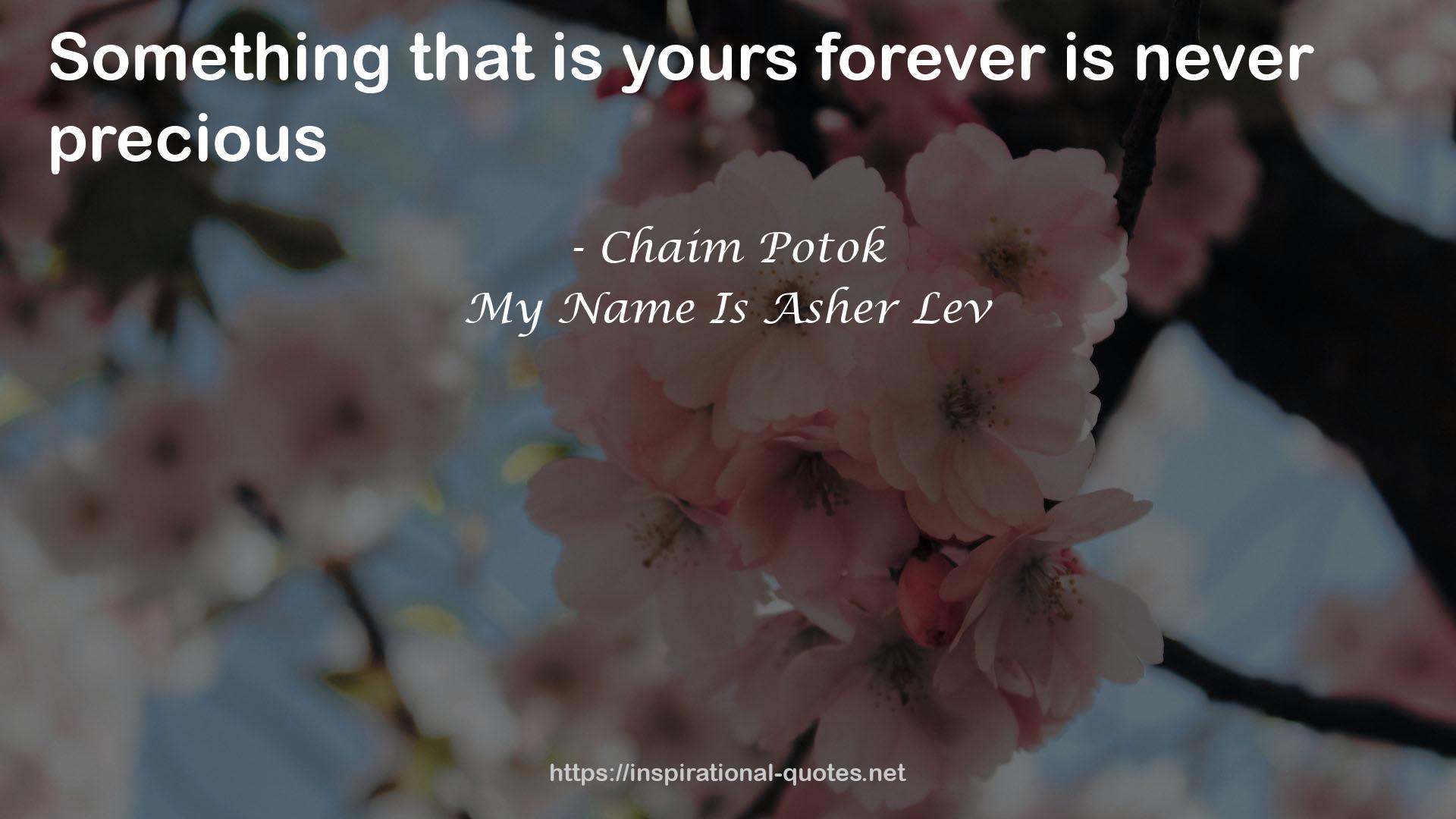 My Name Is Asher Lev QUOTES