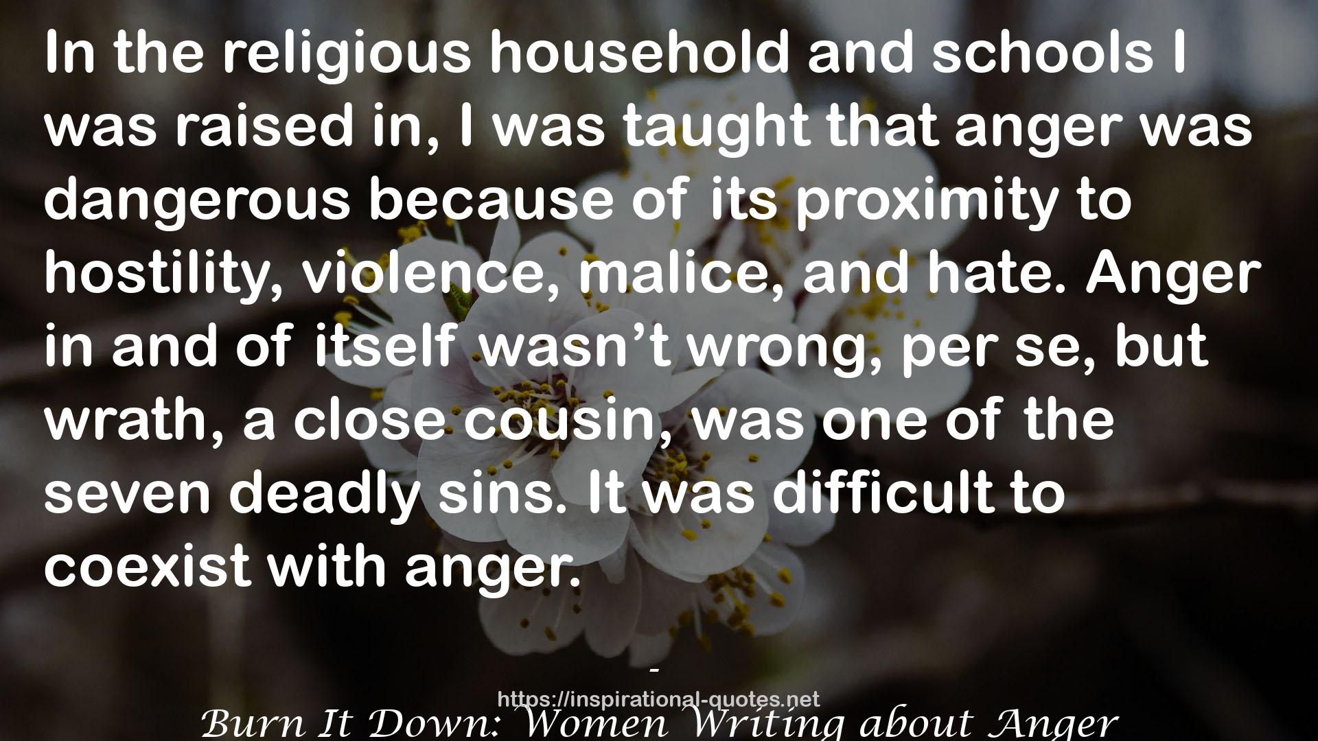 Burn It Down: Women Writing about Anger QUOTES