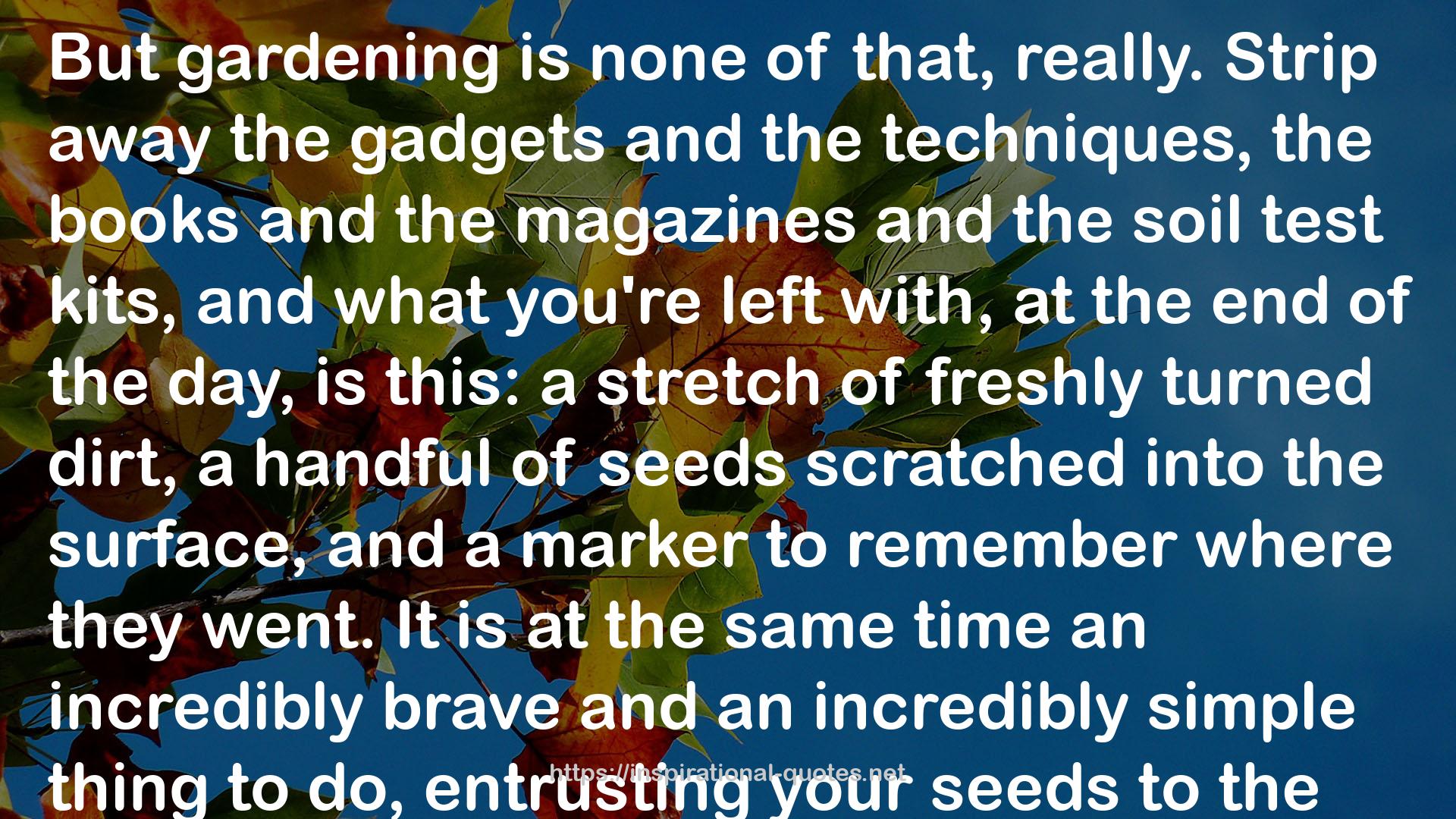 the gadgets  QUOTES