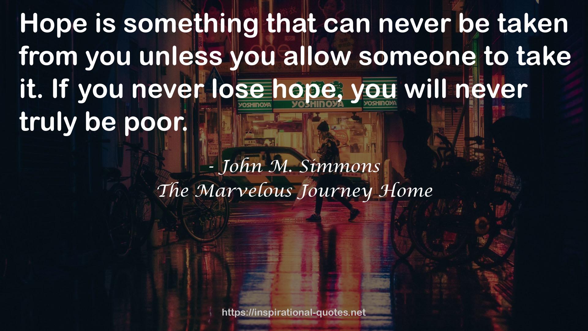 The Marvelous Journey Home QUOTES
