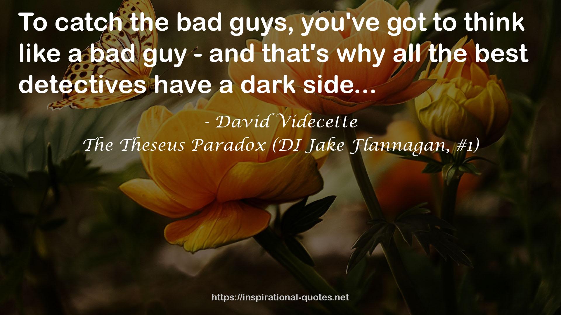 The Theseus Paradox (DI Jake Flannagan, #1) QUOTES