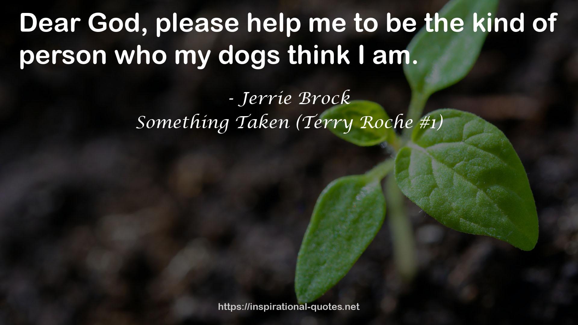 Something Taken (Terry Roche #1) QUOTES