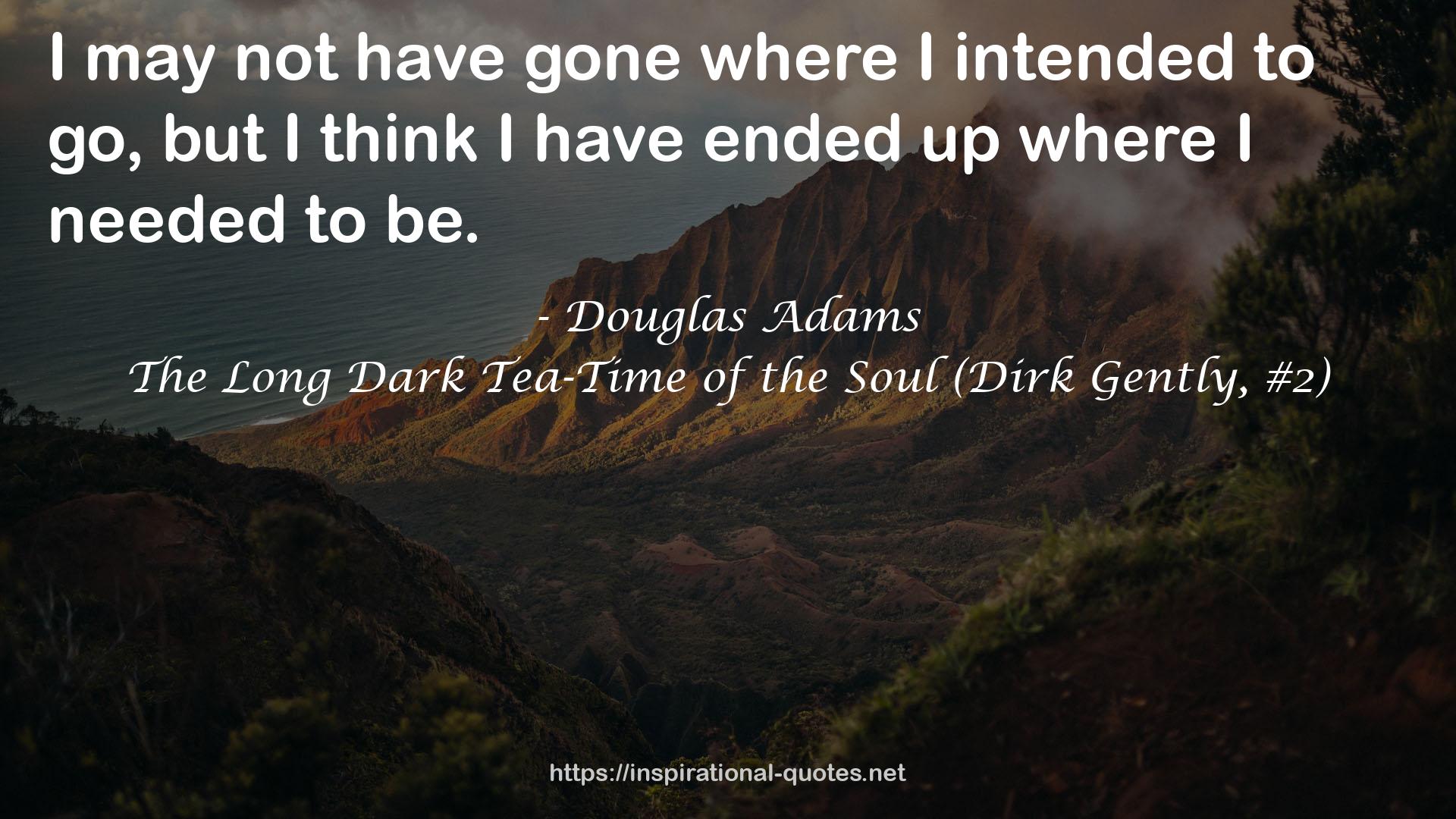 The Long Dark Tea-Time of the Soul (Dirk Gently, #2) QUOTES