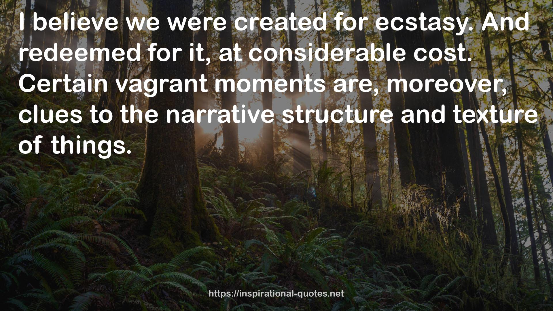 the narrative structure  QUOTES