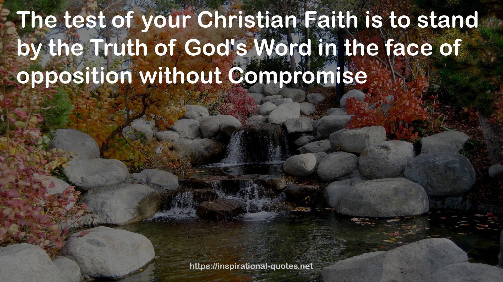 your Christian Faith  QUOTES