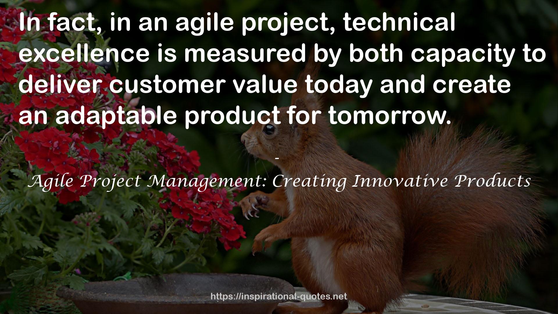 Agile Project Management: Creating Innovative Products QUOTES