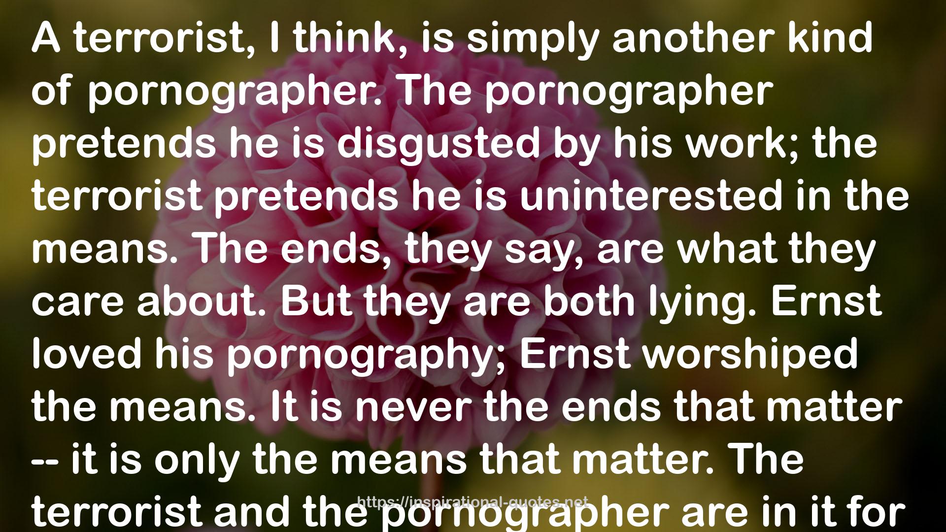 pornographer  QUOTES