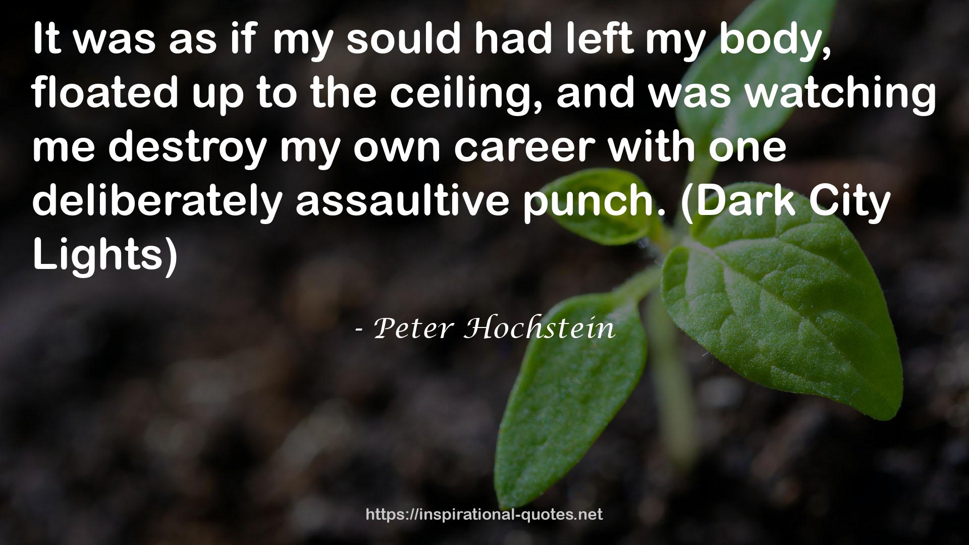 Peter Hochstein QUOTES